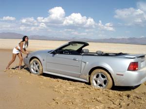The Mustang-Stuck