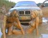DVD 021 - Best of Carstuckgirls 2003-2004 17 short-clips