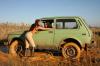 DVD 026 - "The Rendezvous" + "Playing in Mud" + "The Payback"