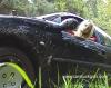 DVD 007 - "Michelles Offroad-Adventures"